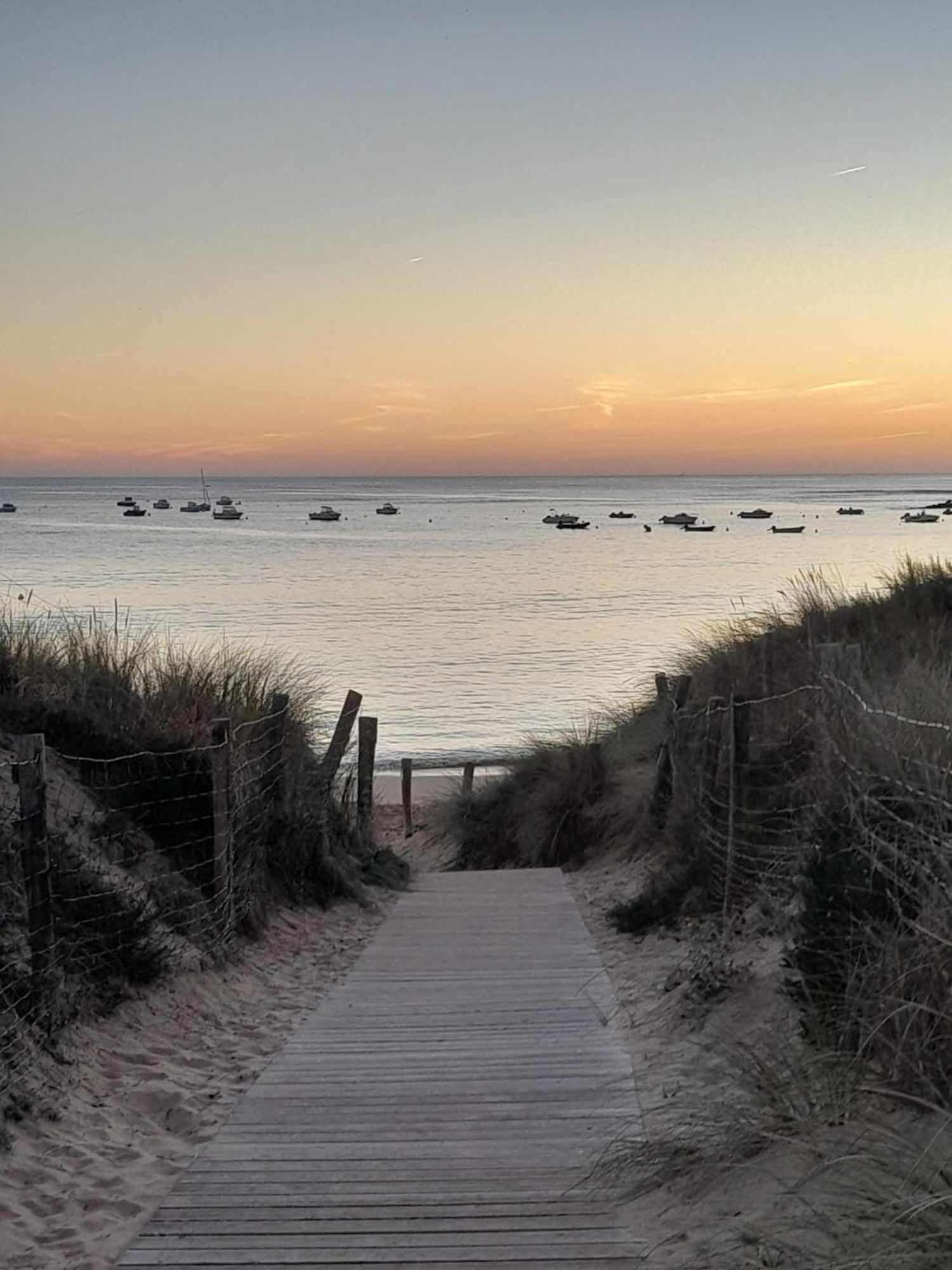 Appartement Aloha Ohana 4-6 Personnes A 400M De La Plage A Dolus D'Oleron Eksteriør bilde